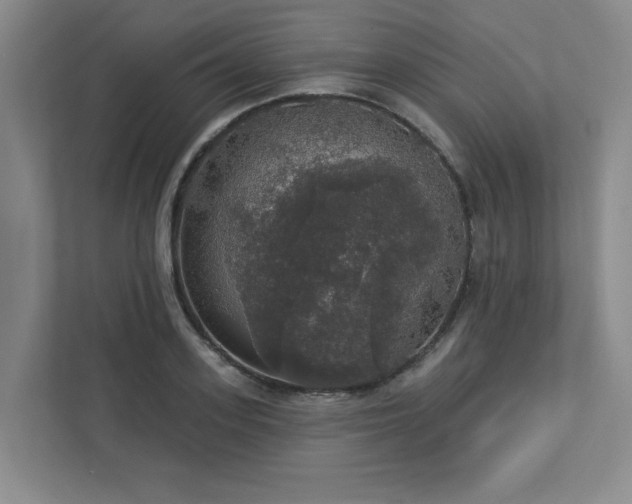 X0000112910939200908241203