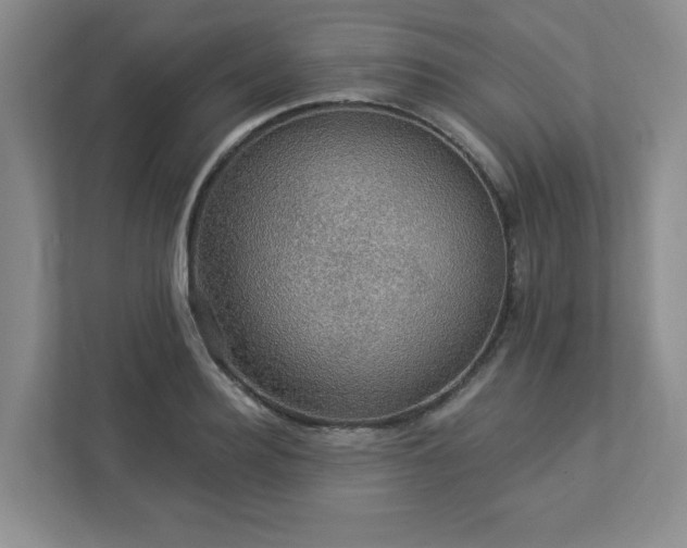 X0000112910940200908241203