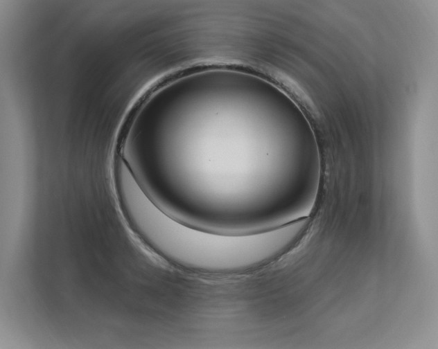 X0000112910942200908241203