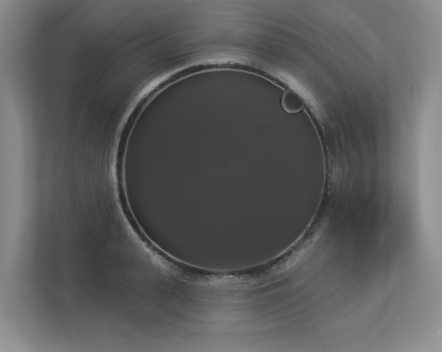 X0000112910943200908241203