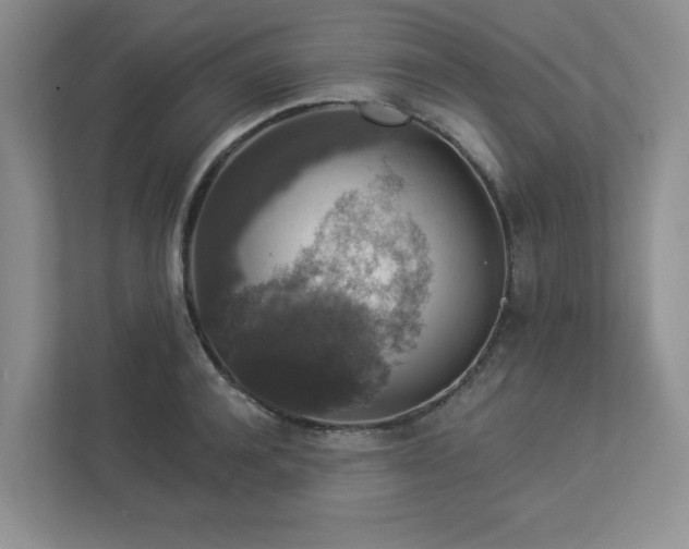 X0000112910944200908241203