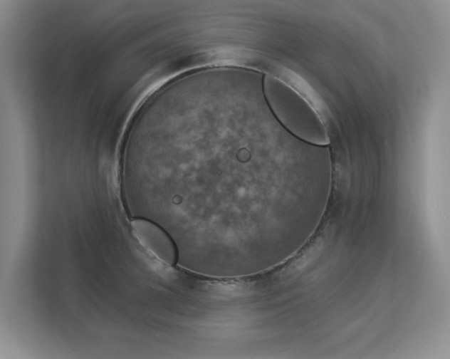 X0000112910948200908241203