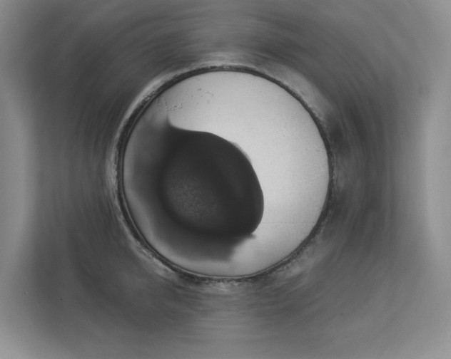 X0000112910950200908241203