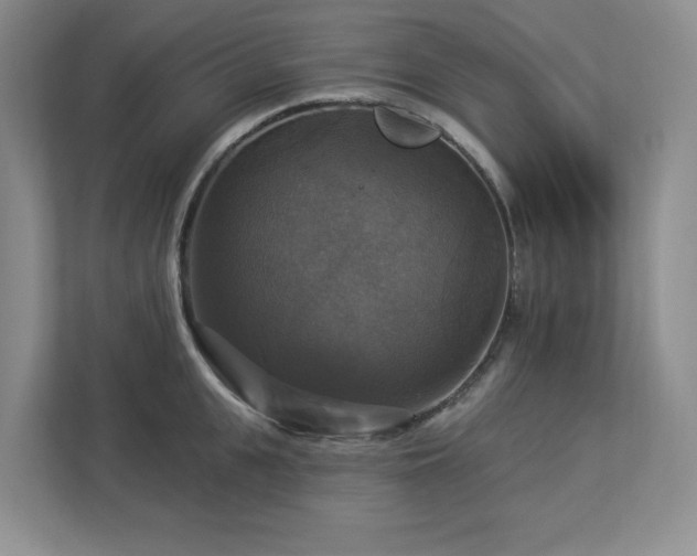 X0000112910951200908241203