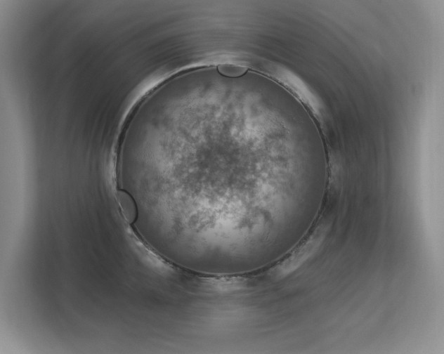 X0000112910952200908241203