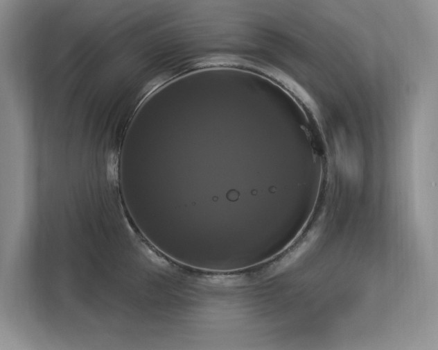 X0000112910953200908241203