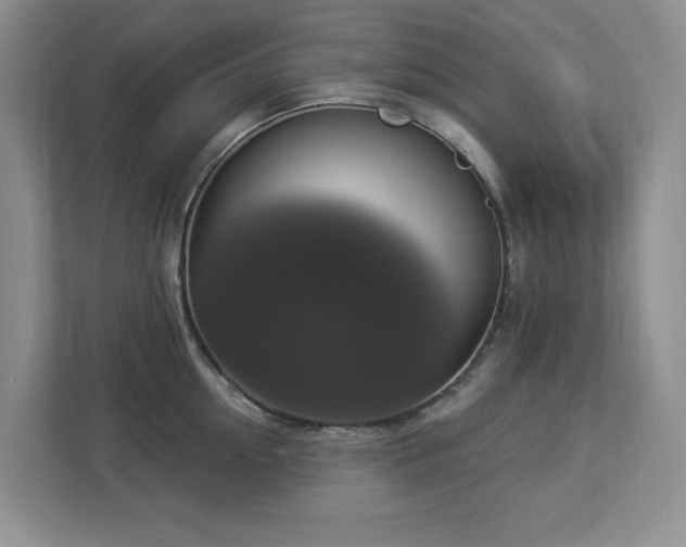 X0000112910954200908241203