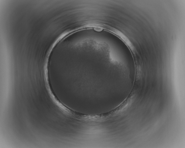 X0000112910955200908241203