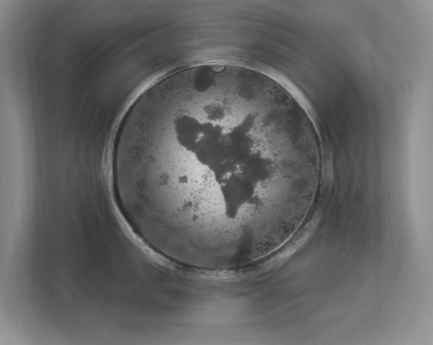 X0000112910957200908241203