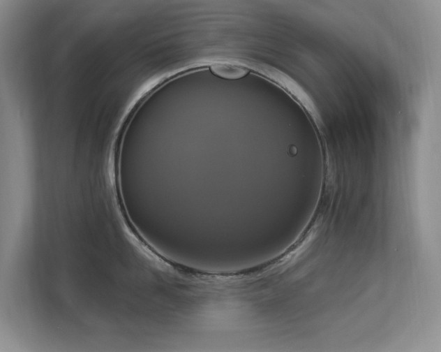 X0000112910958200908241203