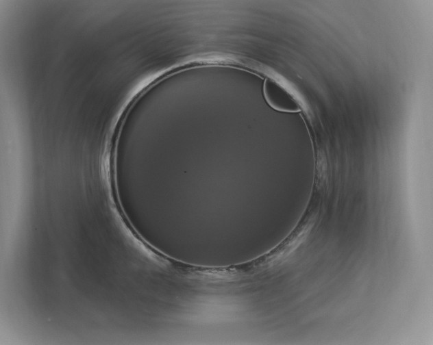 X0000112910959200908241203