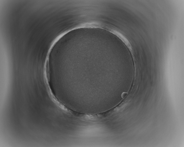 X0000112910960200908241203