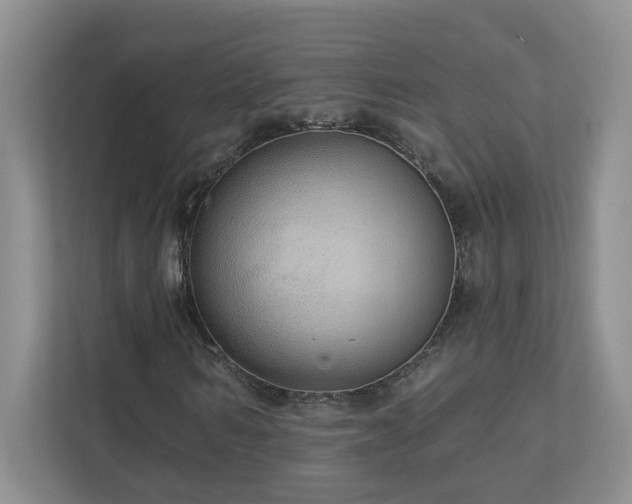 X0000112910962200908241203