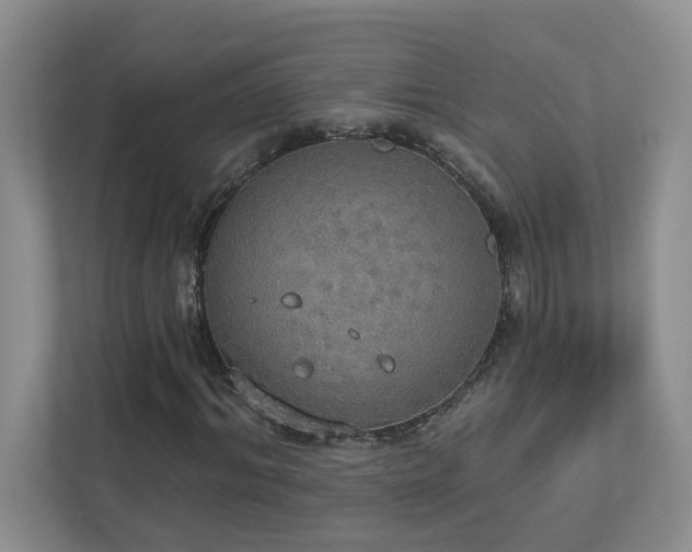 X0000112910964200908241203