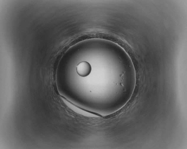 X0000112910965200908241203