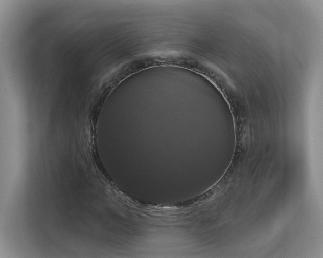 X0000112910966200908241203