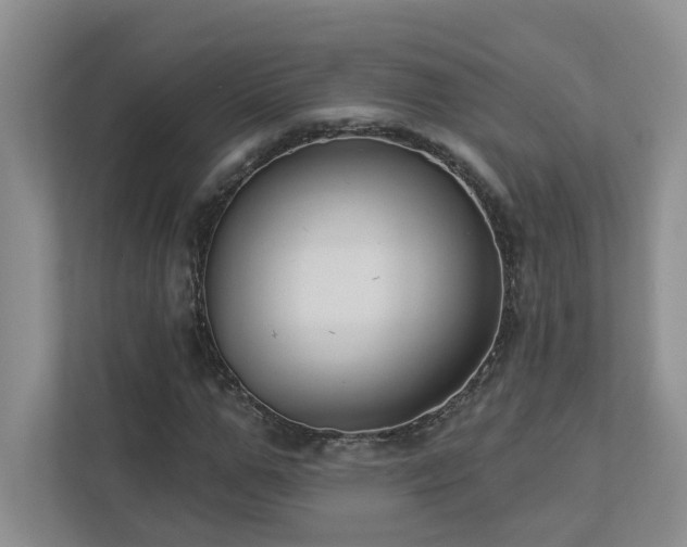 X0000112910967200908241203