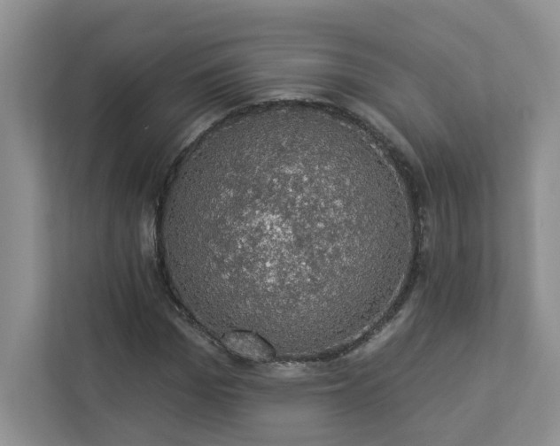 X0000112910969200908241203