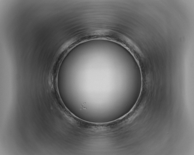 X0000112910970200908241203