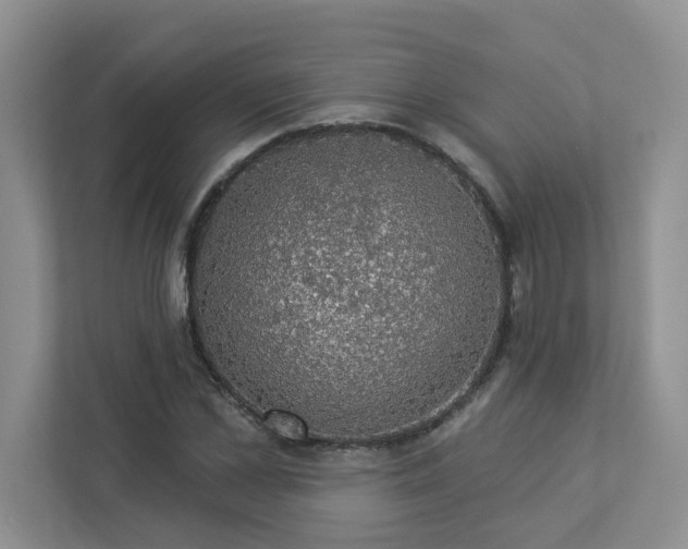 X0000112910973200908241203