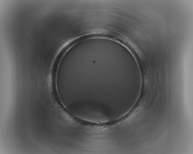 X0000112910975200908241202