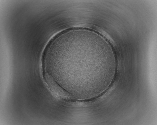 X0000112910976200908241202