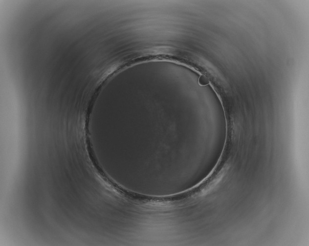 X0000112910977200908241202