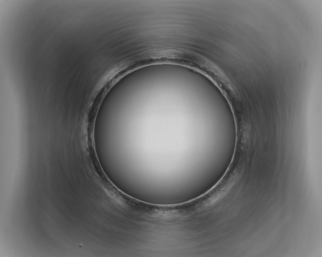 X0000112910978200908241202