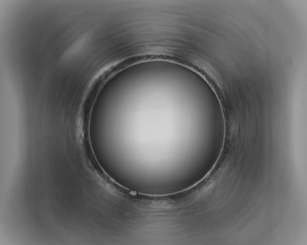 X0000112910979200908241202