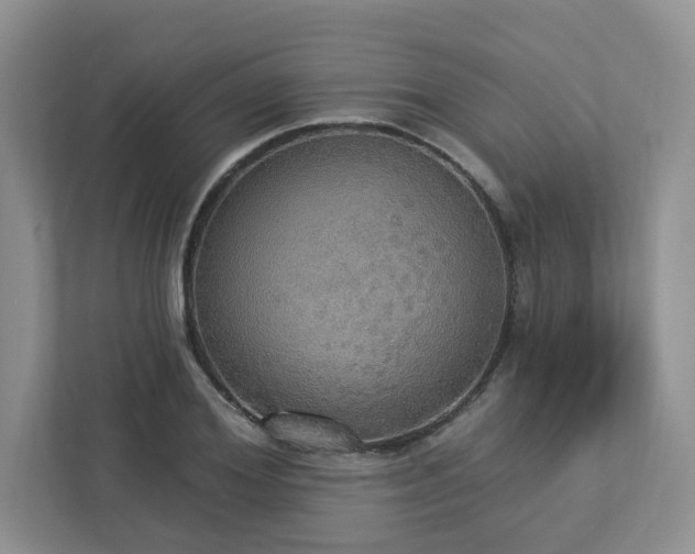 X0000112910980200908241202