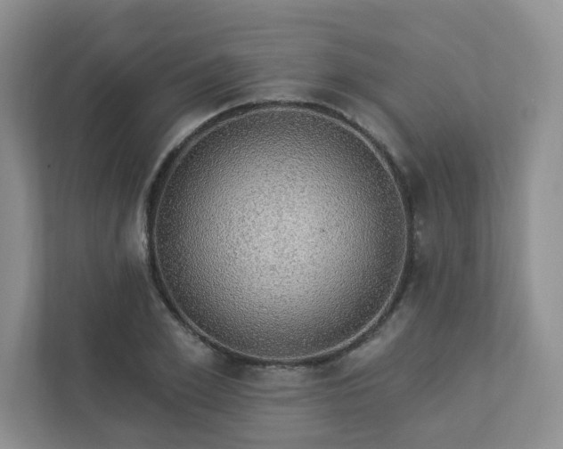 X0000112910981200908241202