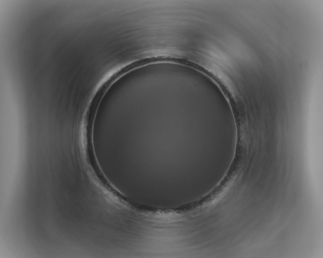 X0000112910983200908241202