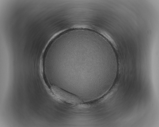 X0000112910984200908241202