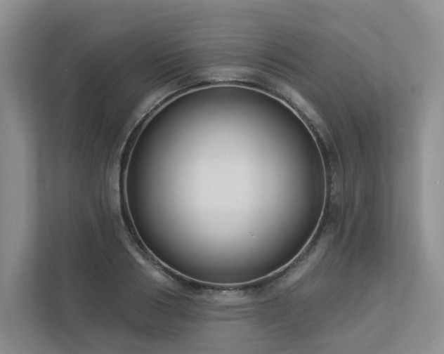 X0000112910986200908241202