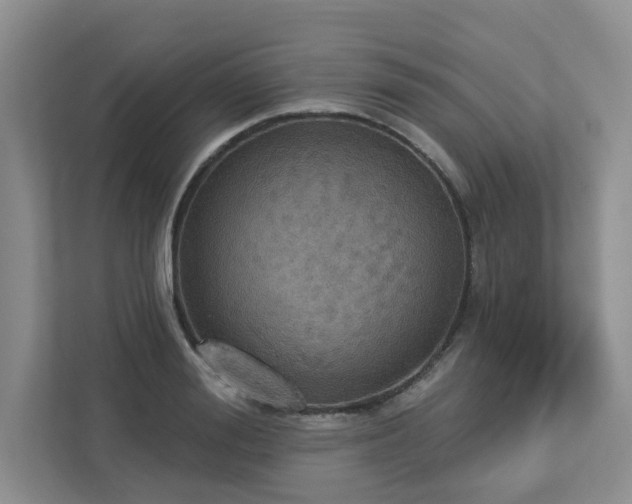 X0000112910988200908241202