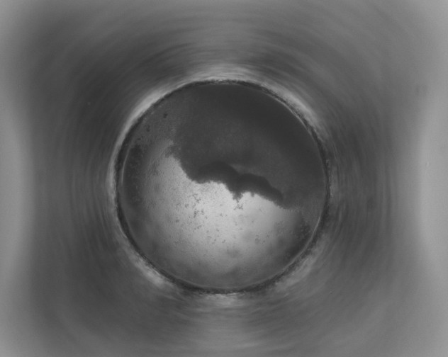 X0000112910990200908241202