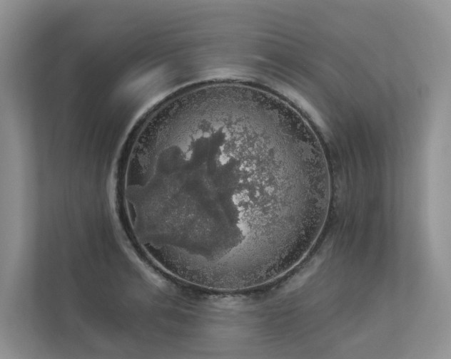 X0000112910991200908241202