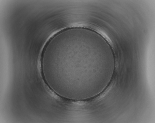 X0000112910992200908241202