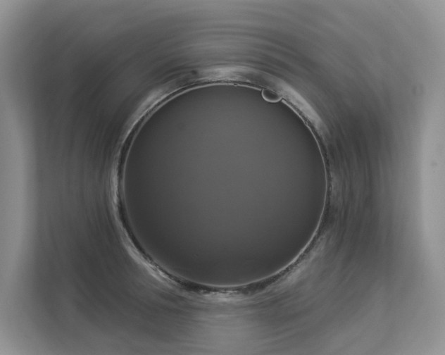 X0000112910994200908241202