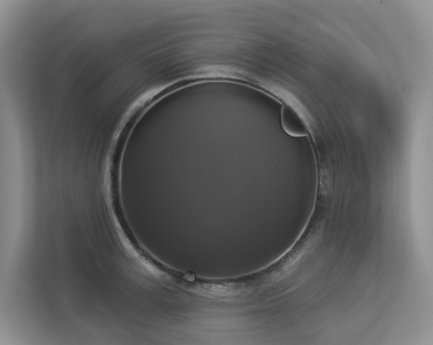 X0000112910995200908241202