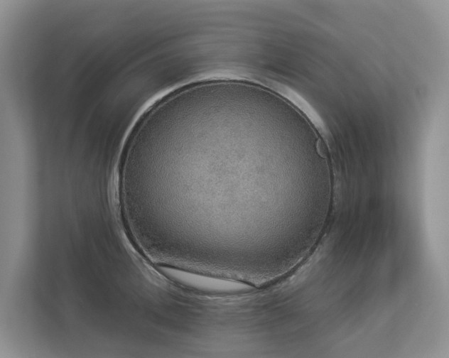 X0000112910996200908241202