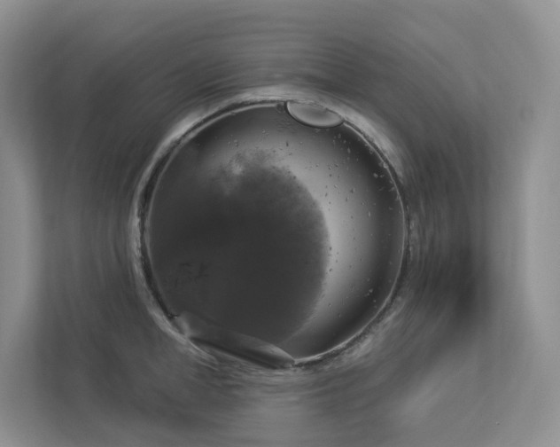 X0000112910998200908241202