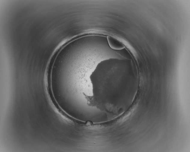 X0000112910999200908241202