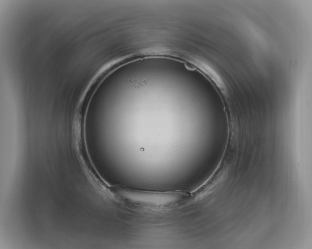 X0000112911000200908241202