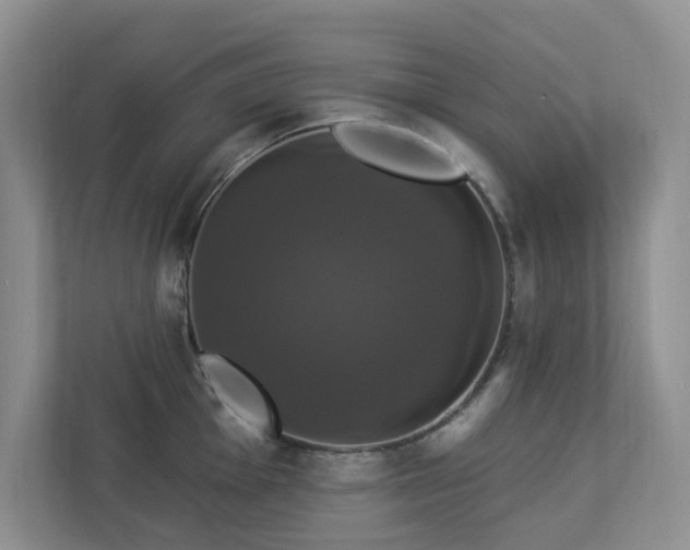 X0000112911001200908241202