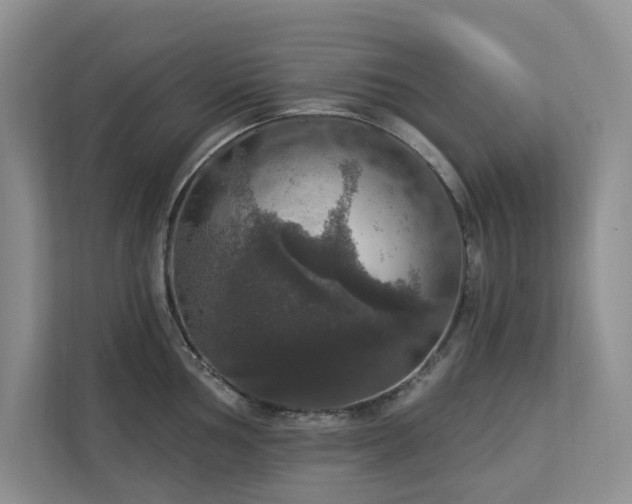 X0000112911002200908241202