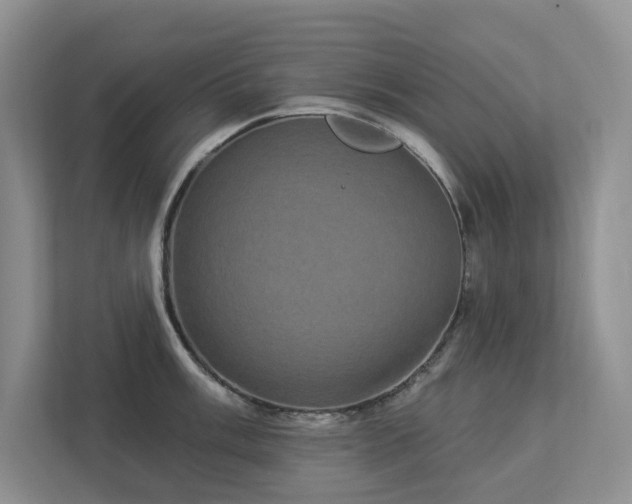 X0000112911003200908241202