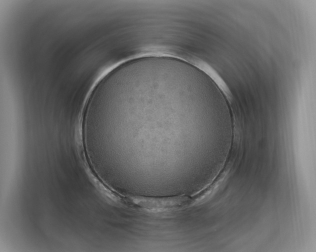 X0000112911004200908241202