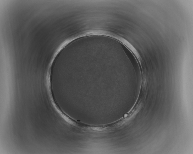 X0000112911005200908241202