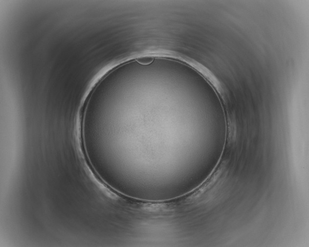 X0000112911006200908241202